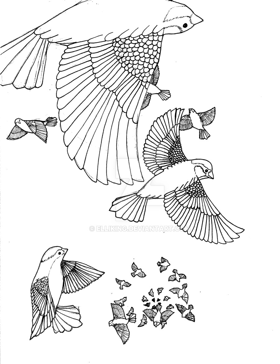 900x1170 Sparrow Commission By Elliking