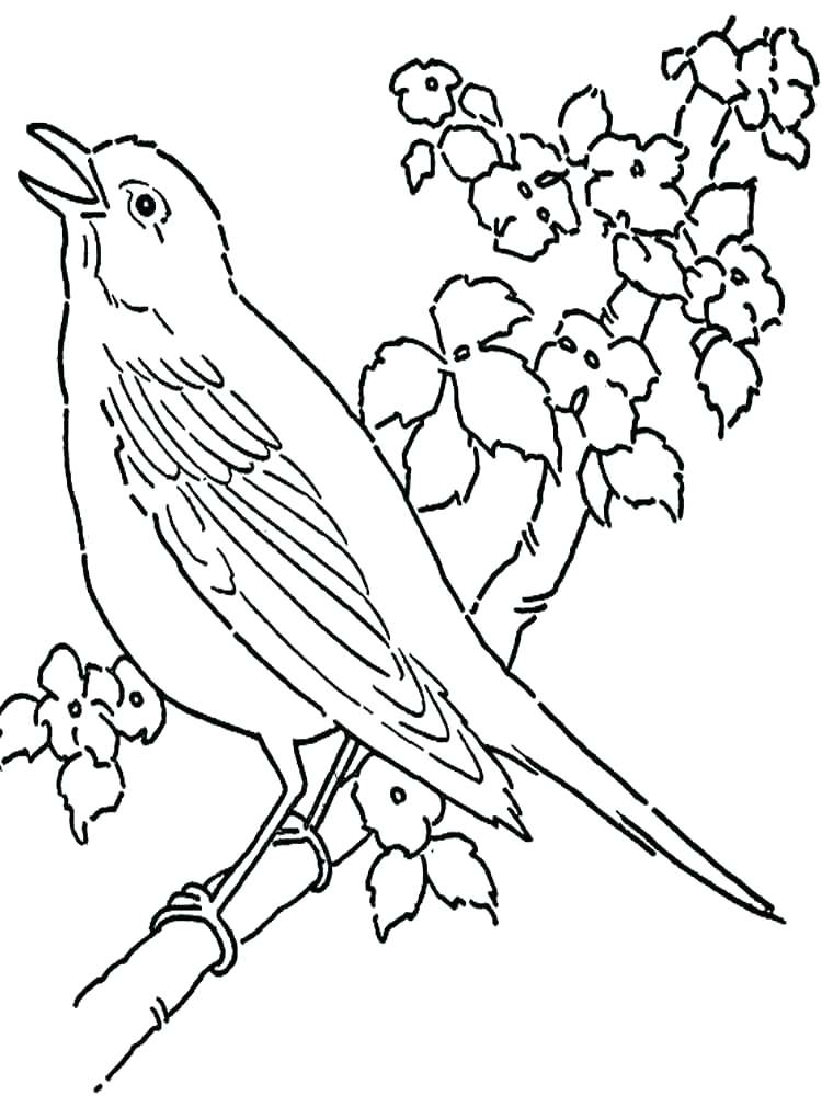 750x1000 Coloring Pictures Of Birds Flying Sparrow Online Coloring Coloring