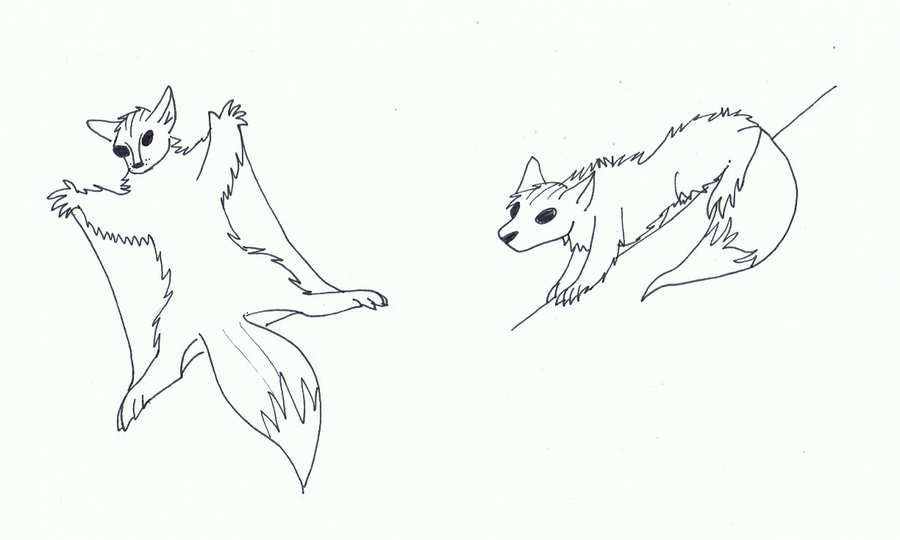 900x540 Flying Squirrel By Runningwolfshadows