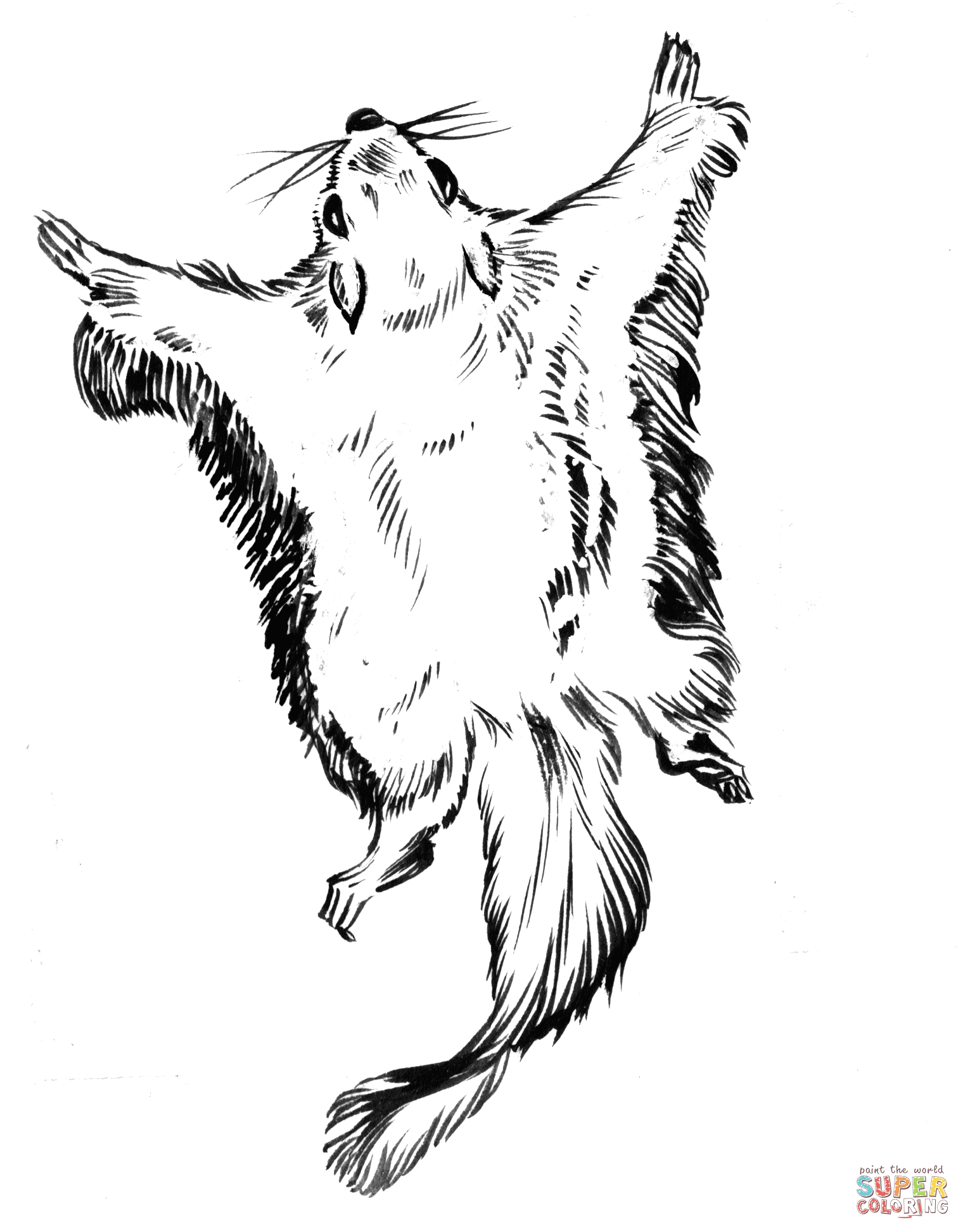 1520x1944 Flying Squirrel Coloring Page Free Printable Coloring Pages