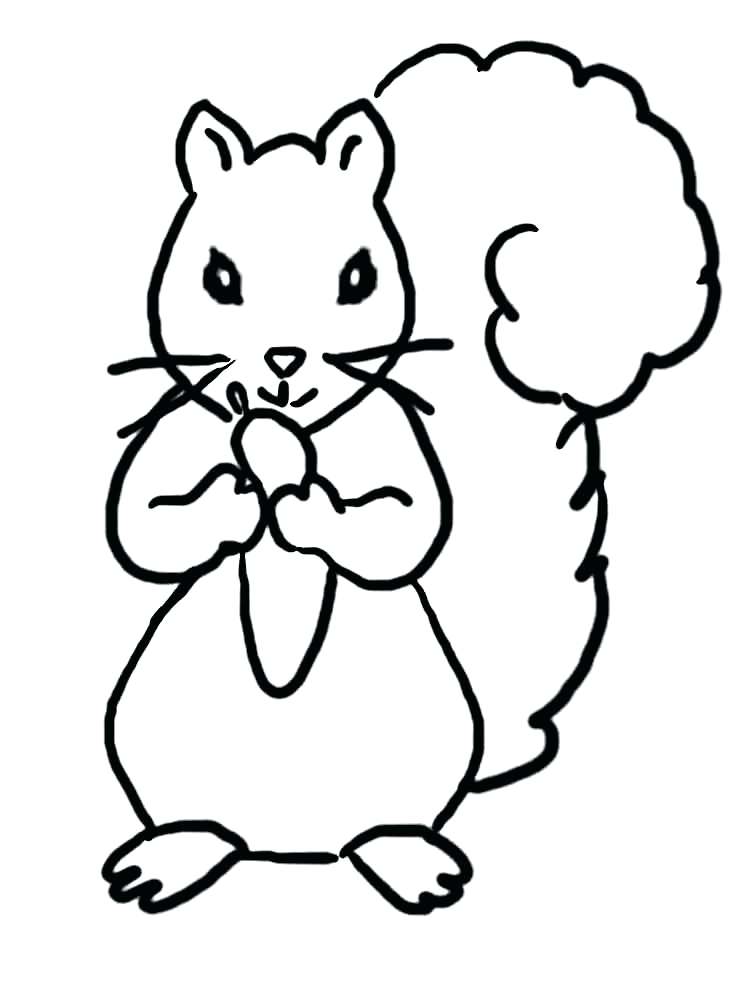 750x1000 Squirrel Pictures To Color A Dog And A Squirrel Are Angry In Open