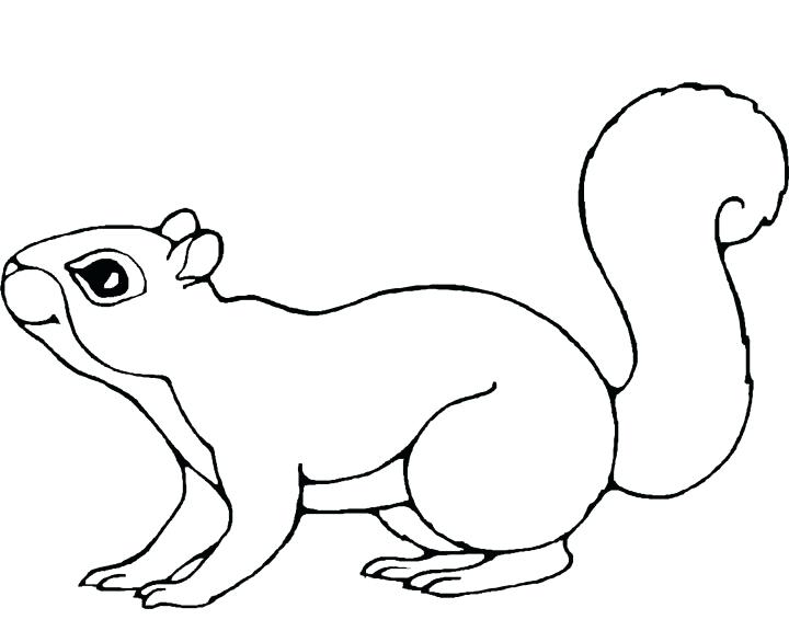 720x576 Coloring Pages Of Squirrels Squirrel Girl Jump Wee Coloring Pages
