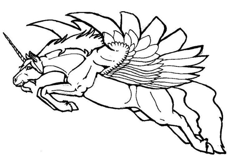 750x532 Coloring Page Flying Unicorn