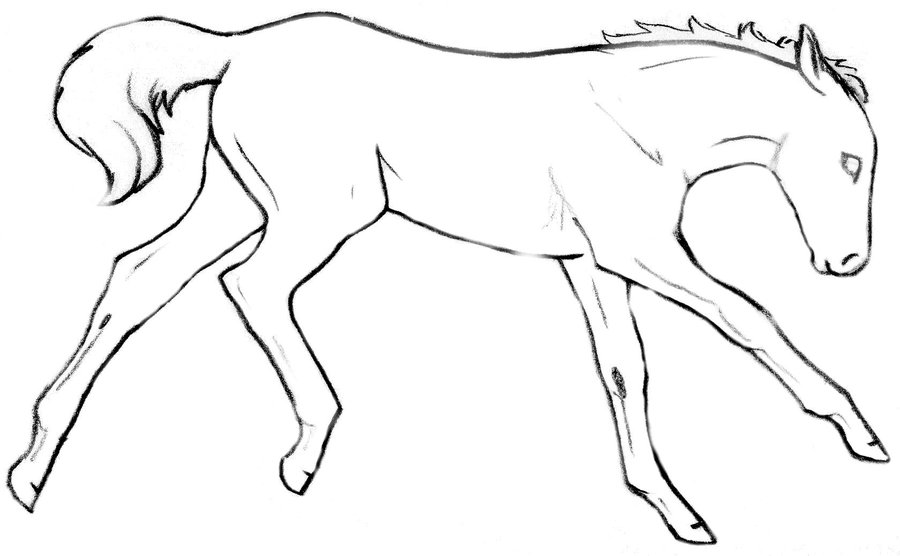 900x556 Free Foal Lineart By Sharaiza