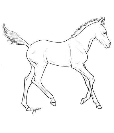 400x468 Free Foal Lineart By On @