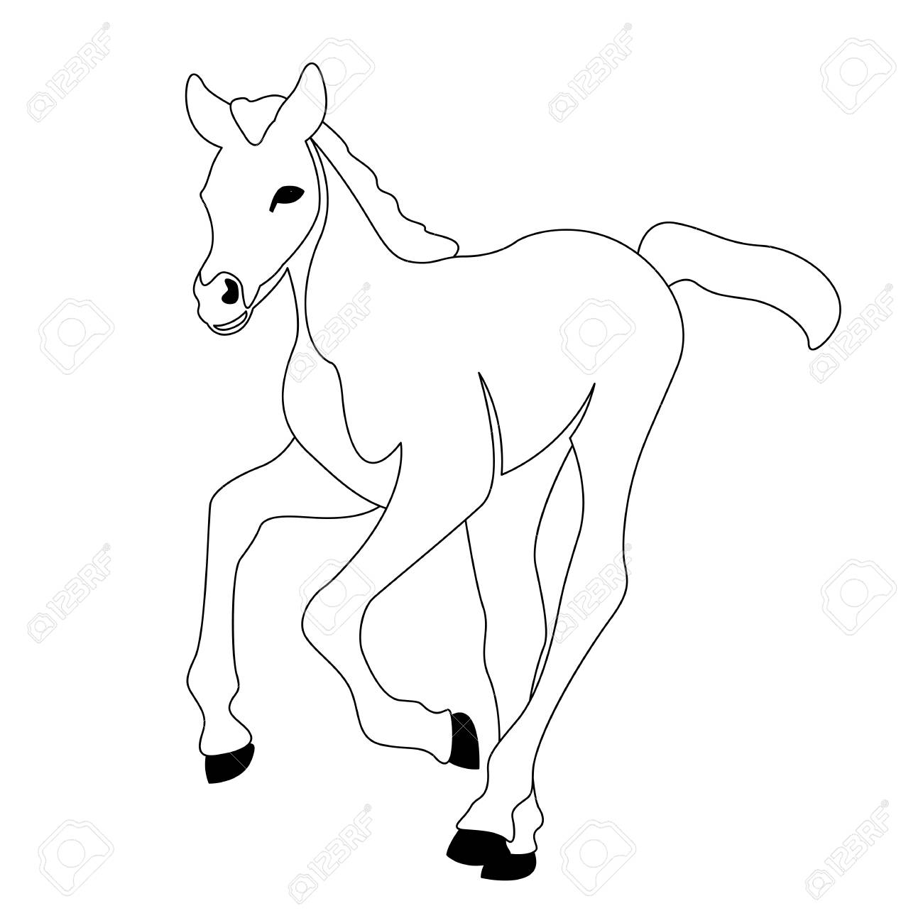 1300x1300 Horse Foal Vector Illustration Line Drawing Royalty Free Cliparts