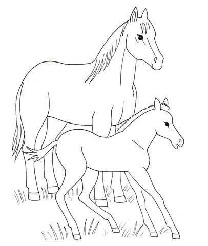 406x480 Horse And Foal Coloring Page Free Printable Coloring Pages