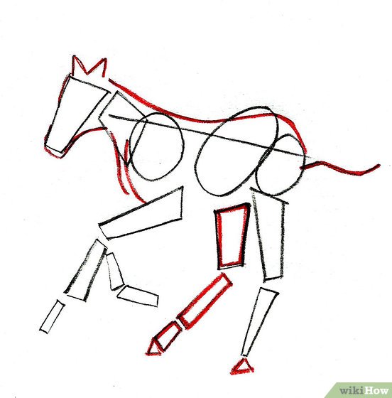 552x560 How To Draw A Foal 9 Steps (With Pictures)