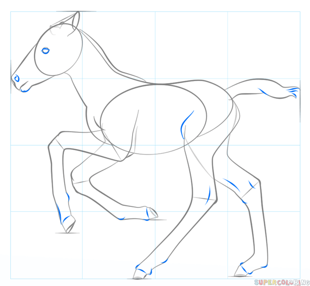 624x575 How To Draw A Foal Step By Step Drawing Tutorials
