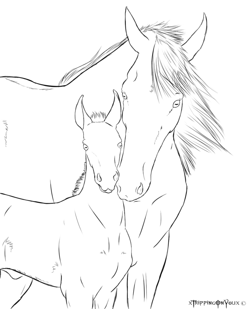 800x1000 Mare Oplo Alogo With Foal By Xtrippingonyoux