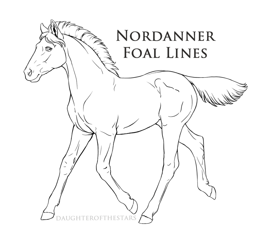 928x861 Official Nordanner Foal Lineart By Cloudrunner64
