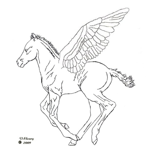 600x670 Pegasus Foal By Gingerc