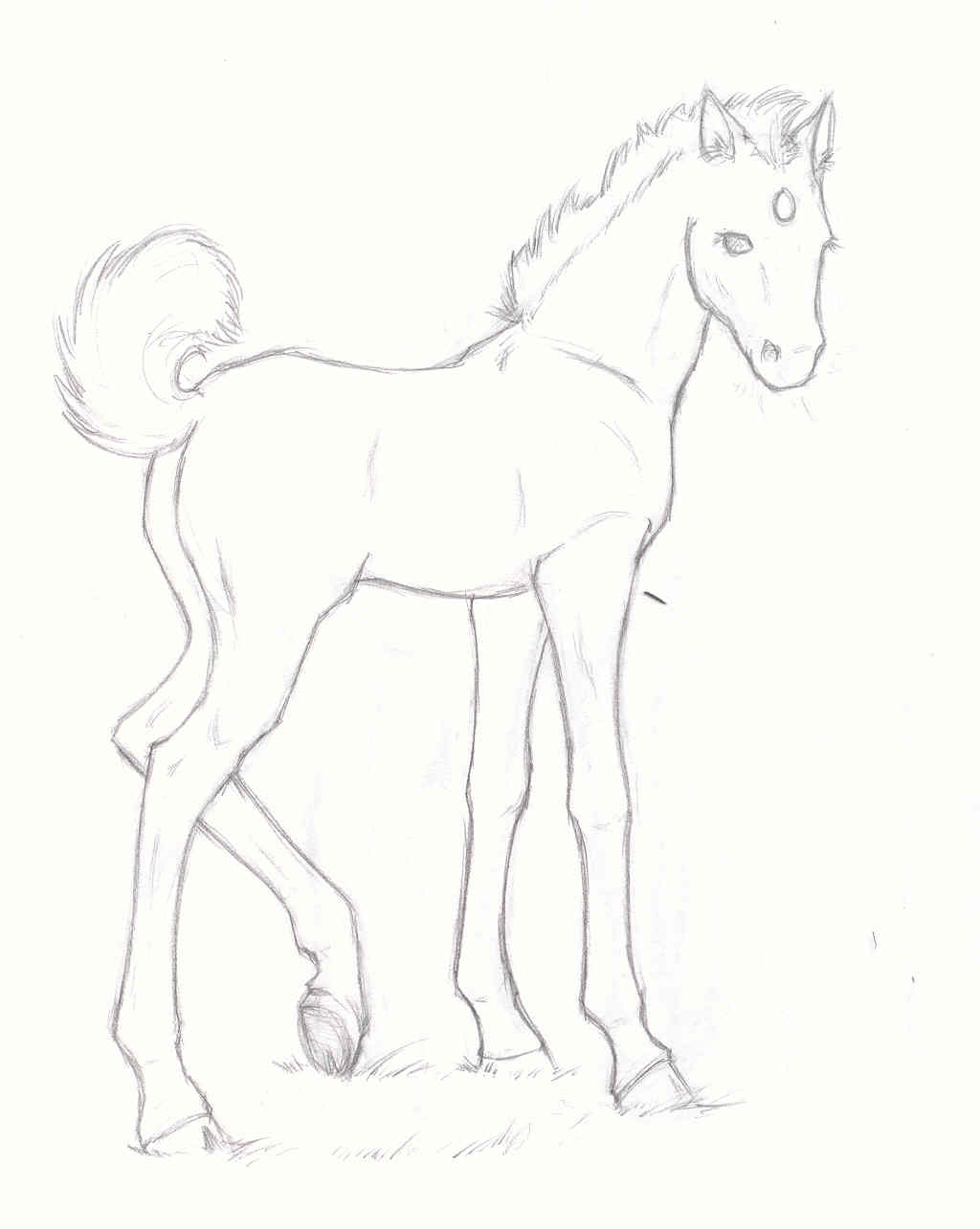 1024x1285 Unicorn Foal By Talynden