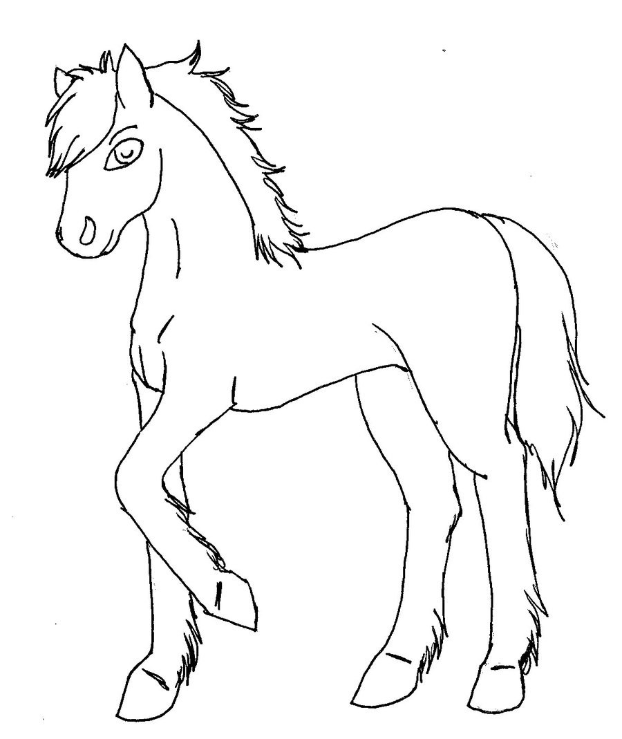 900x1069 Foal Lineart Version2 By Meika Zan