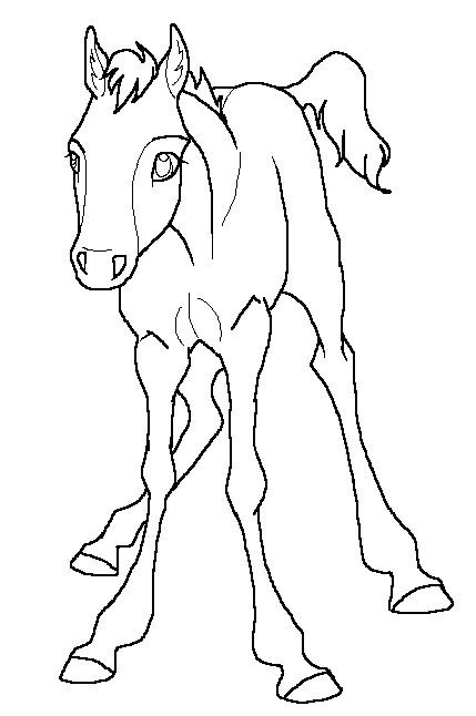 429x646 Curious Foal Lineart By Kokamo77