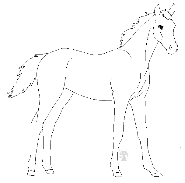 608x601 Foal Lineart By Orengel