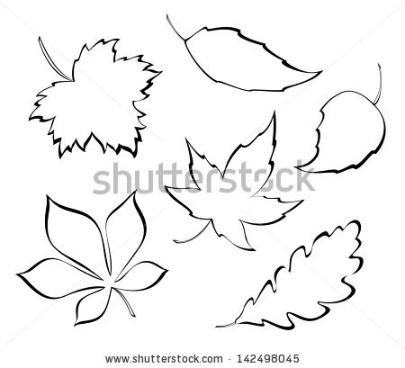 450x409 Drawn Foliage Outline
