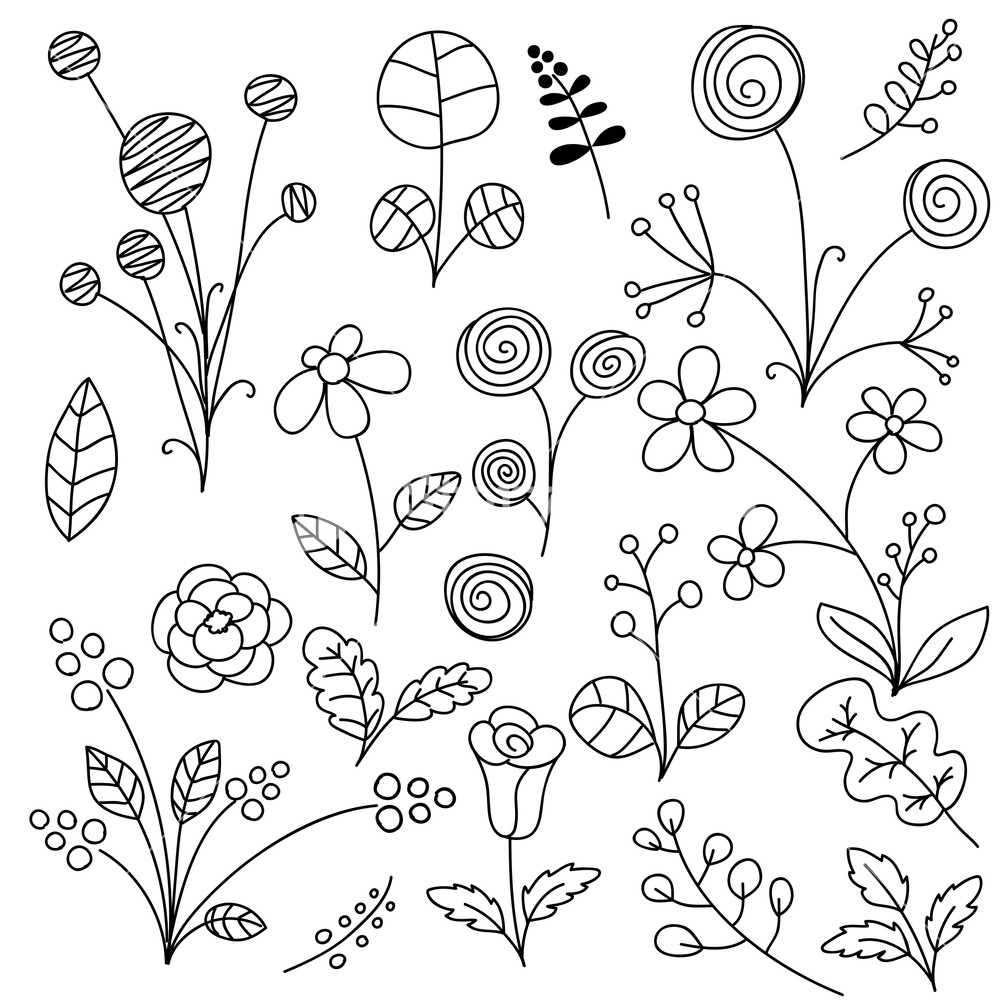 1000x1000 Foliage Elements Doodle Art Vector Illustration Royalty Free Stock