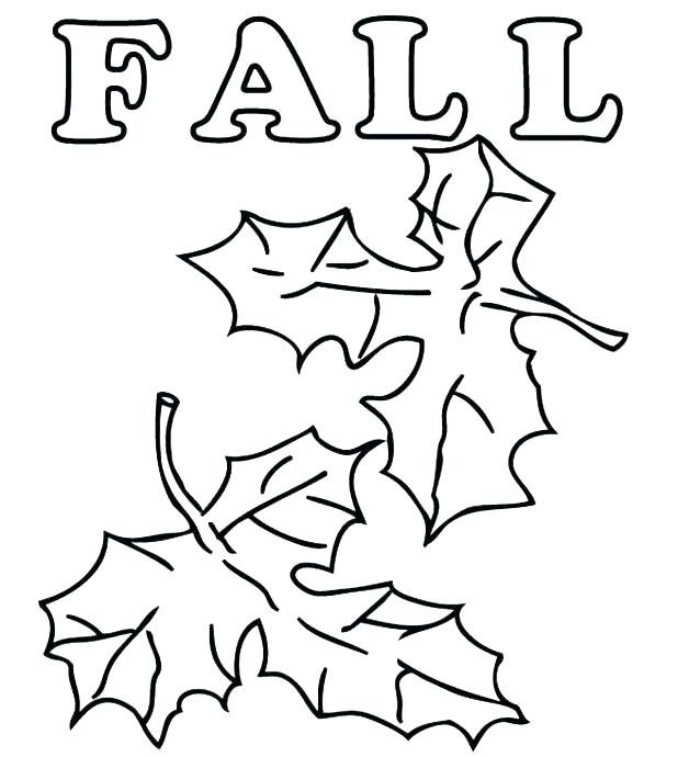 618x690 Autumn Leaf Colouring Pages Drawing Of Fall Coloring Page