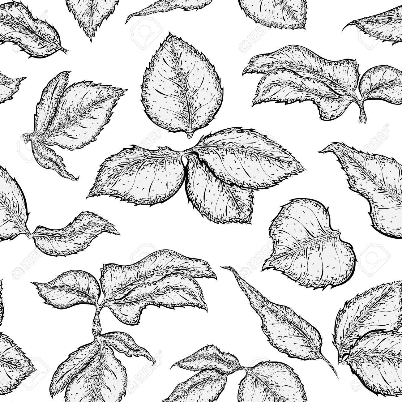 1300x1300 Hand Drawn Seamless Pattern With Foliage Of Rose. Monochrome