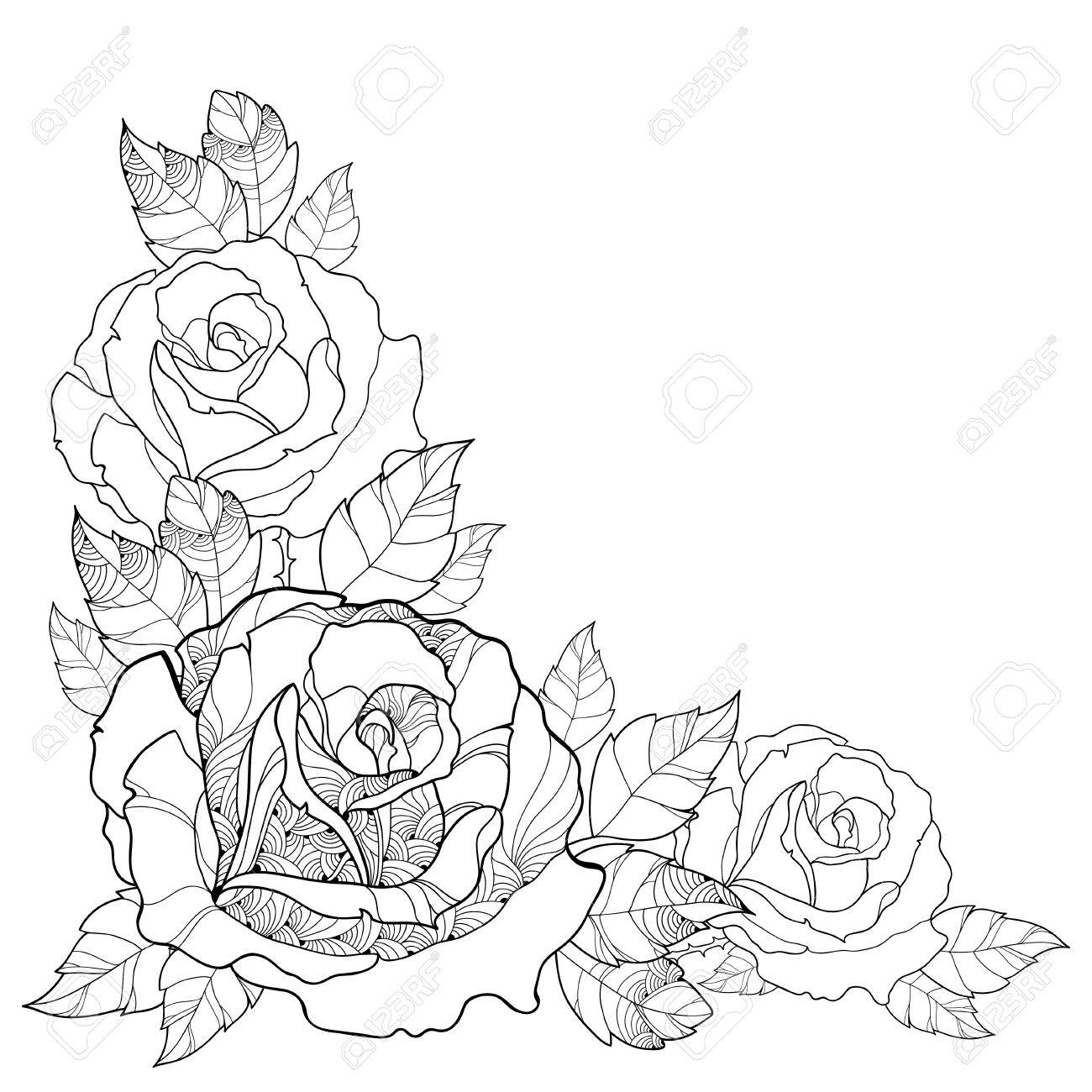1300x1300 Illustration With Outline Rose Flower And Foliage Isolated