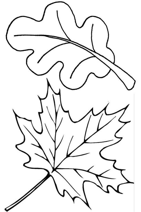 600x900 Simplified Leaves To Color And Cut Out Drawn Foliage Traceable