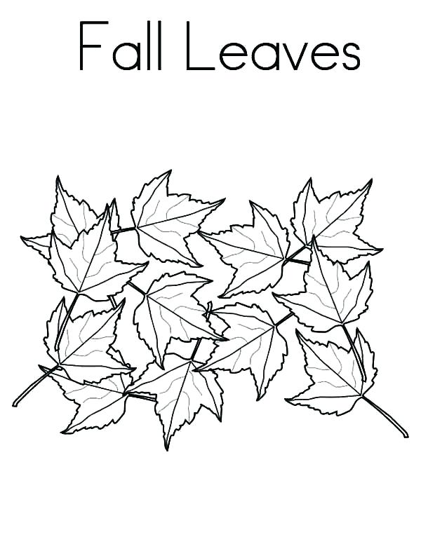600x776 Top Rated Fall Leaves Coloring Pages Images Fall Coloring Pages