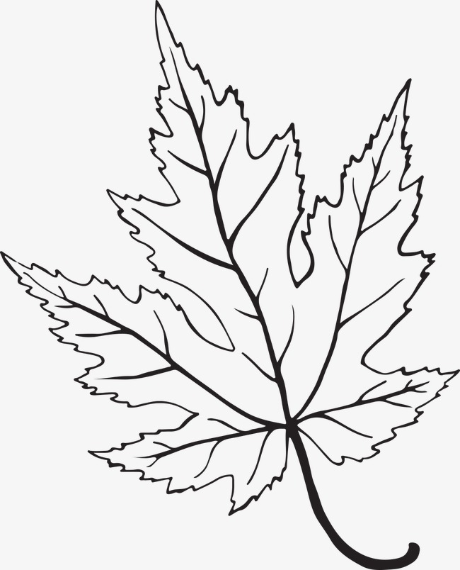 650x804 Black And White Foliage Silhouette, Black And White, Watercolor