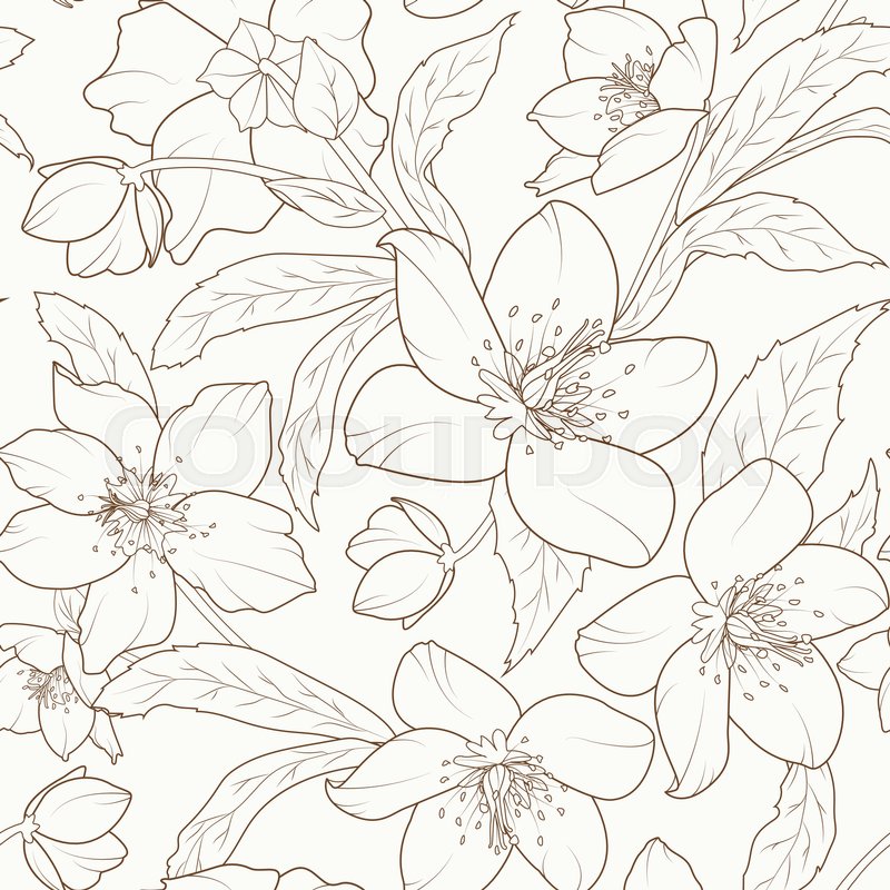 800x800 Christmas Rose Flowers Seamless Pattern. Hellebore Winter Rose