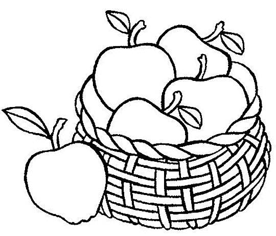 540x461 Apple Fruit Coloring Page 1779515.jpg Embroidery