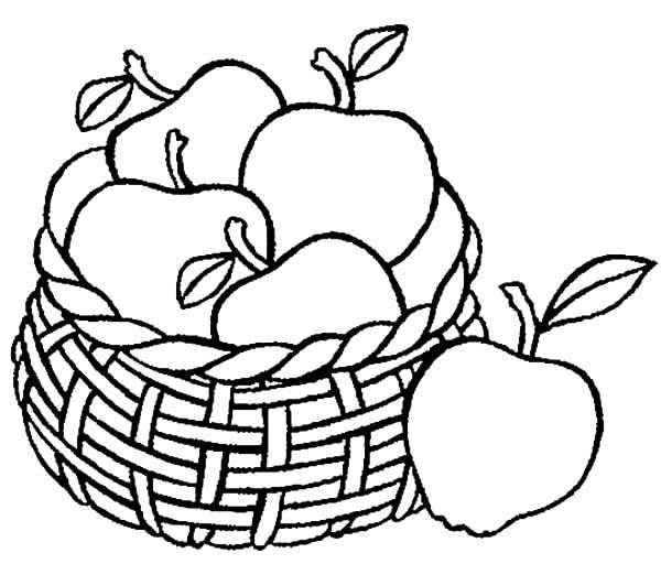 600x512 Drawing Apple Basket Coloring Pages Best Place To Color