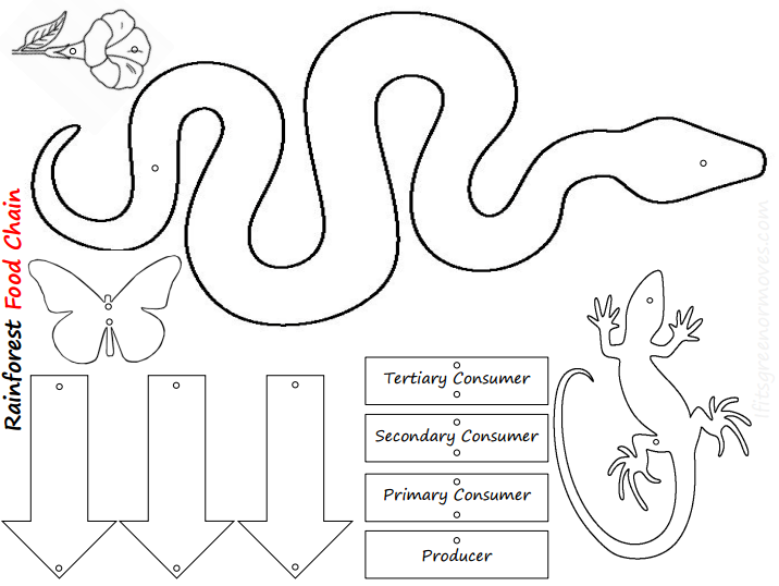 Food Web Drawing at GetDrawings | Free download