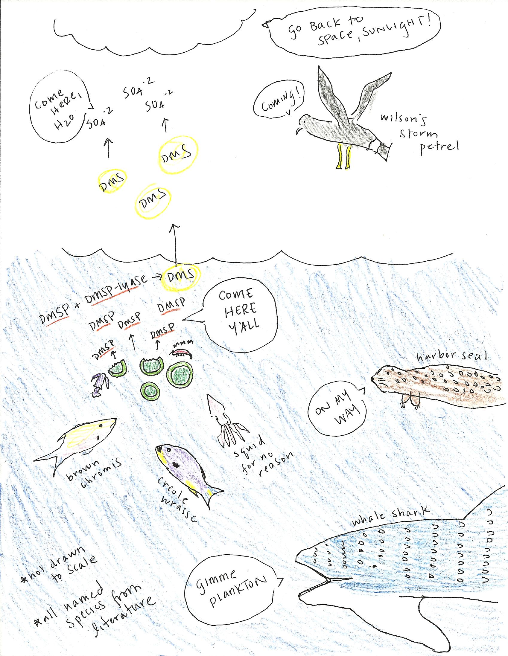 1698x2194 Food Web Culturing Science