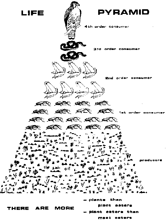 541x717 Display Poster