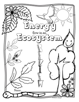 270x350 Food Chain, Food Web, Ecosystem Energy Review Poster Activity Tpt