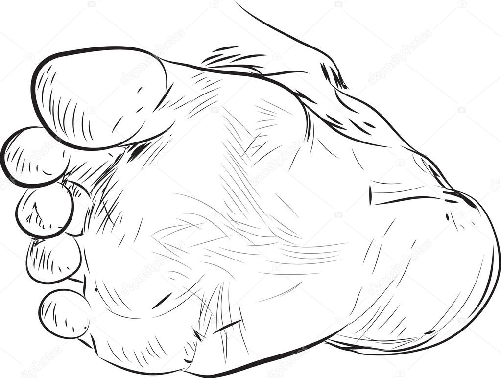 1023x772 Foot Drawing Stock Vector Enginkorkmaz