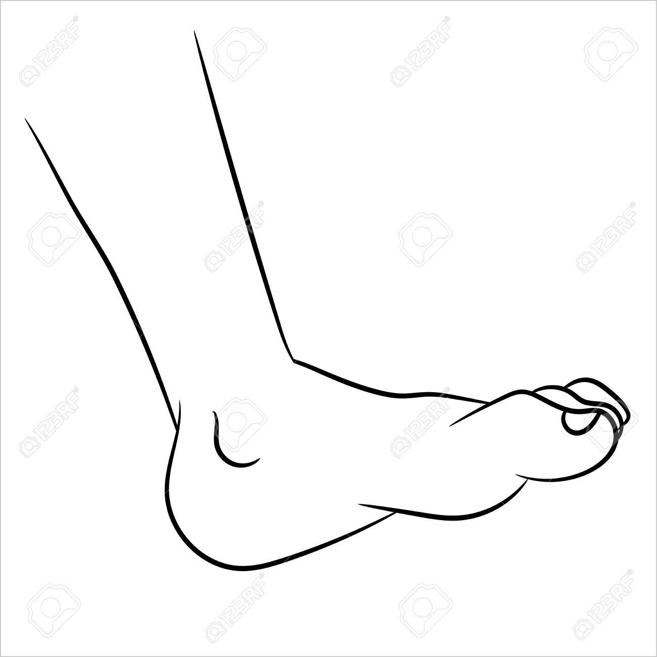 1300x1300 Hand Drawn Sketch Of Foot Isolated, Black And White Cartoon Vector