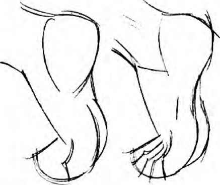 437x367 Head Tilts And Turns