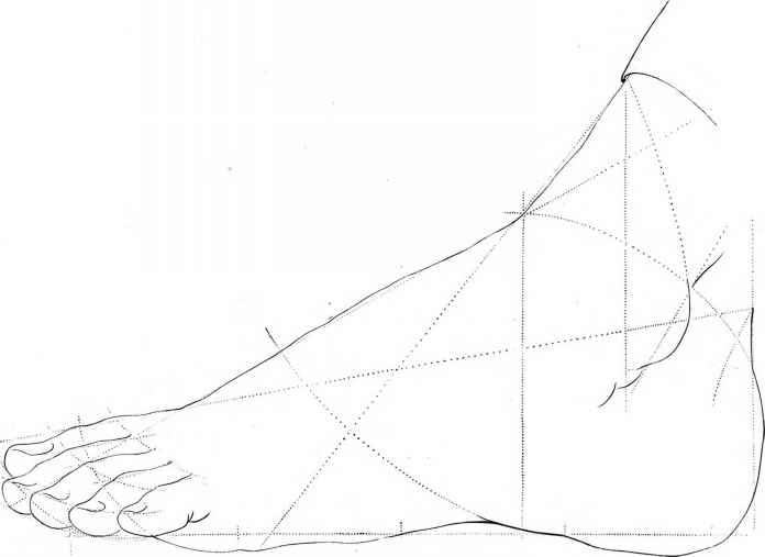 696x507 Rudiments Of Drawingthe Human Figure