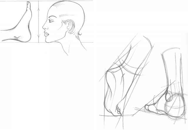 640x444 The Mouth Analysis And Structure