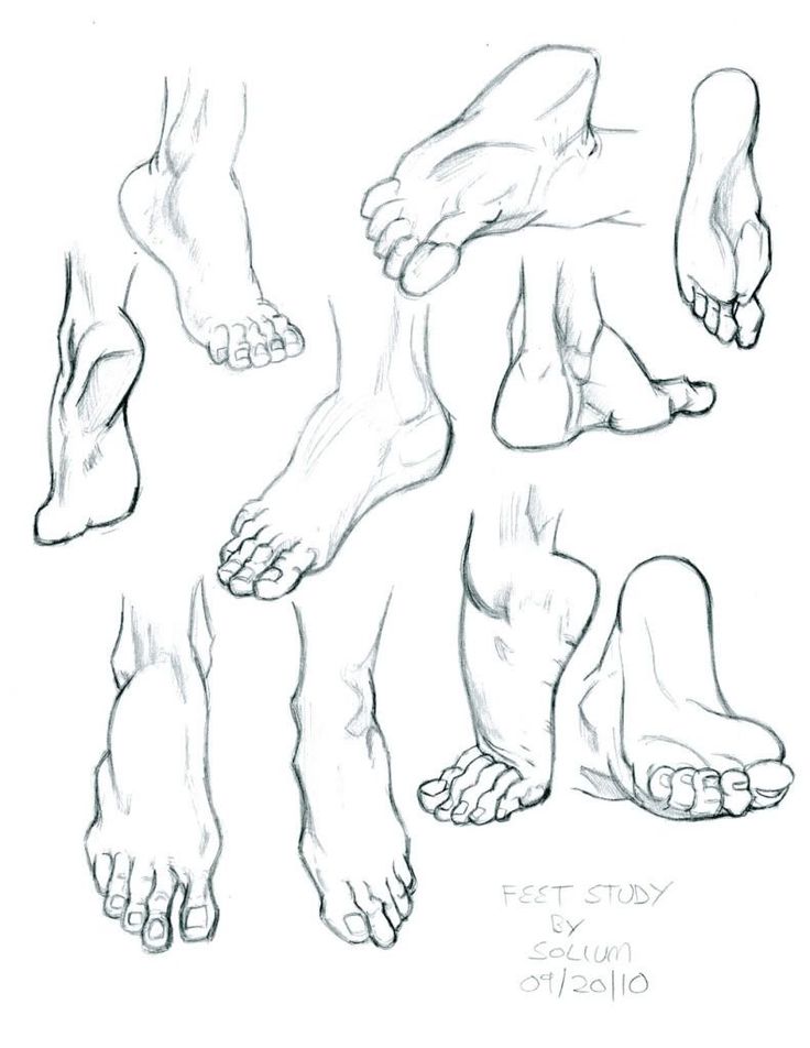 736x952 Anatomy Feet Tutorials Anatomy, Drawings And Art