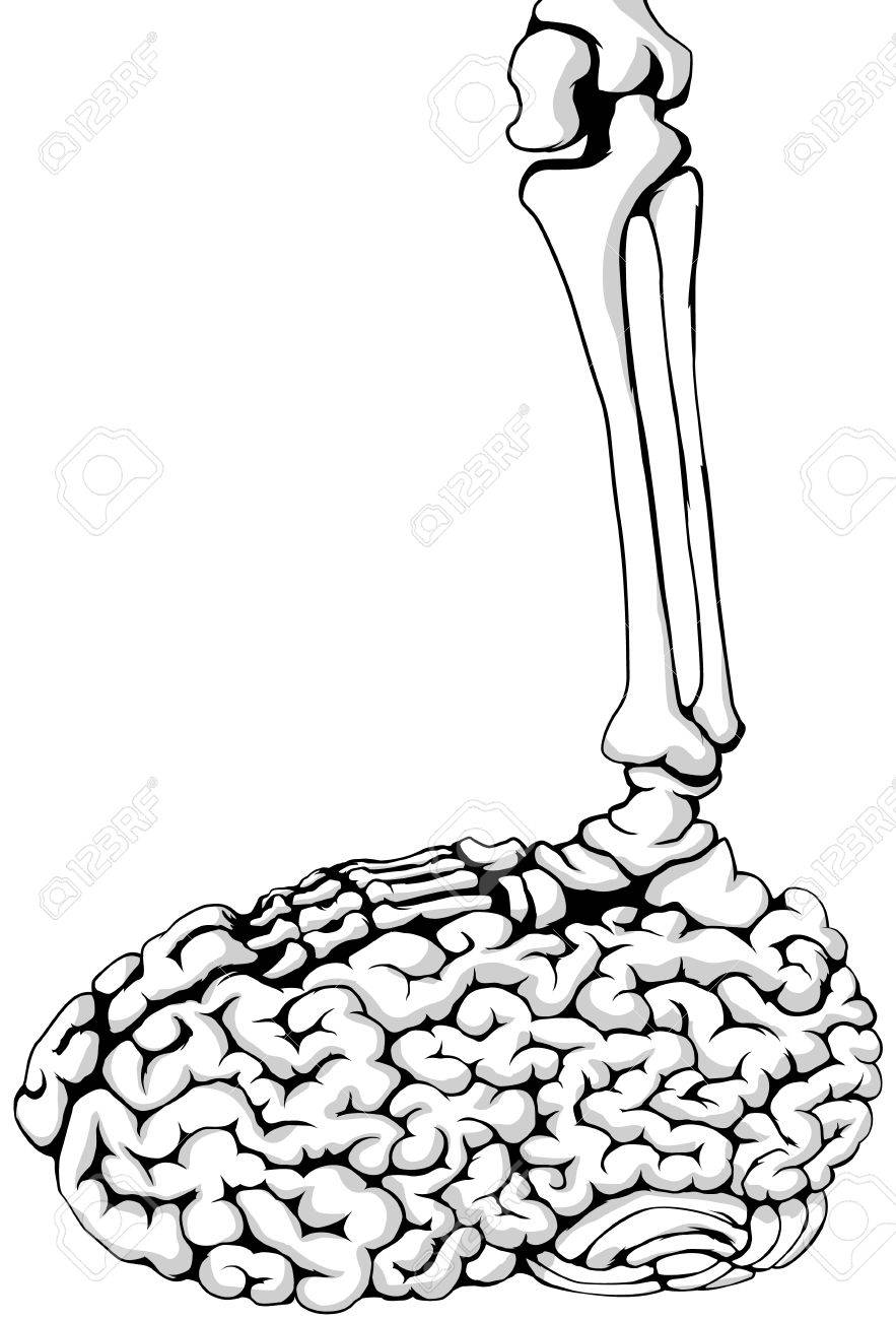 883x1300 Skeleton Foot Stepping On Brain Vector, Vertical, Isolated Royalty