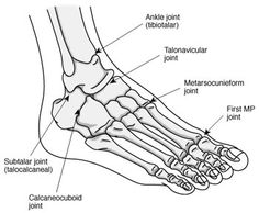 Foot Skeleton Drawing at GetDrawings | Free download