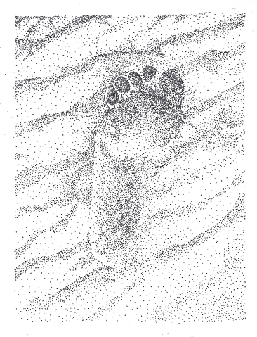 366x479 Day Sixteen Footprint Drawing Thing A Day Forever