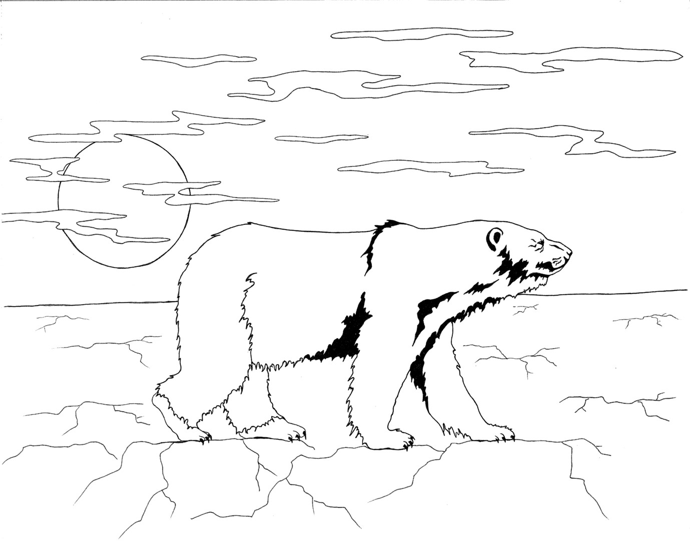 1379x1080 Coloring Pages Of Animal Footprints Best Of Oceanotter Publishing