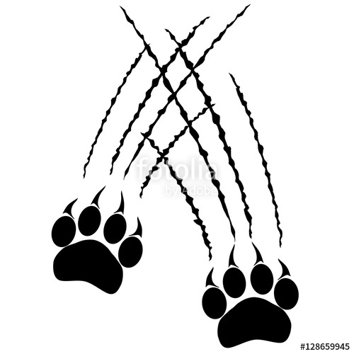500x500 Footprints Or Steps Of A Big Cat. Panther Or Tiger Traces. Vector