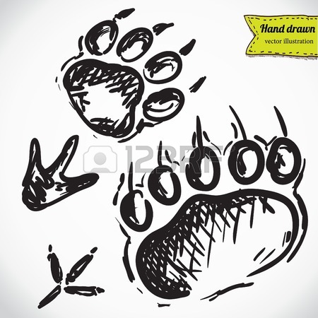 450x450 Animal Footprints Silhouettes Royalty Free Cliparts, Vectors,