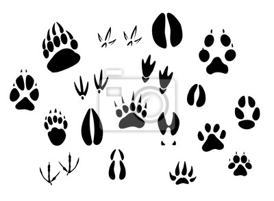 400x294 Animal Footprints Silhouettes Sticker We Live