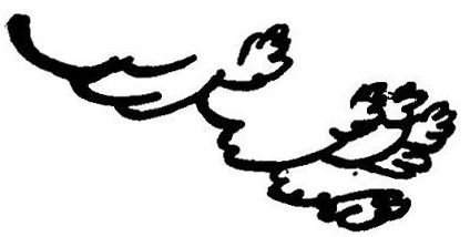 424x214 The Elements Of Drawing, By John Ruskin Letter2