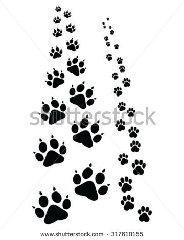 360x470 Display Pic With Logo 461953 317610155